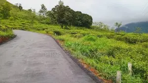 Beautiful Land Sale in Pudaluoya