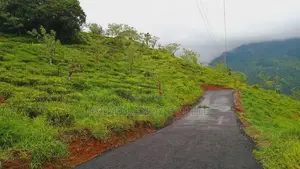 Beautiful Land Plots in Pudaluoya