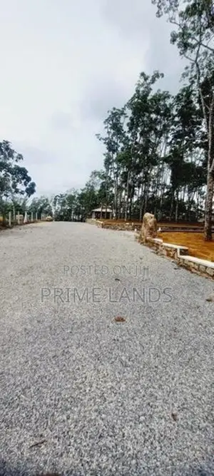 වටිනා ඉඩමක් හොරන බැල්ලපිටිය හන්දිය
