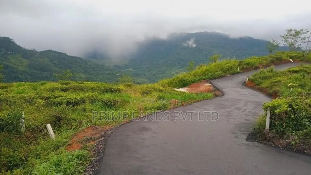 Beautiful Land in Pudaluoya