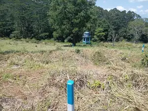 Valuable Land for sale in Pussallawa
