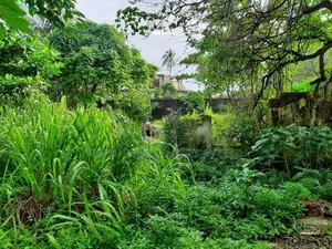 Prime Beachfront Land for Sale Mount Lavinia | 29 Perches