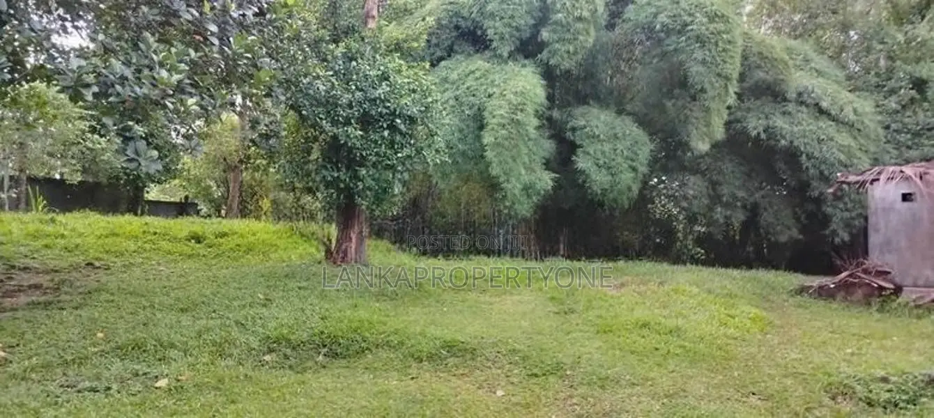 House for Sale Bataganvila