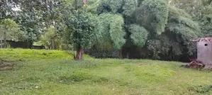 House for Sale Bataganvila