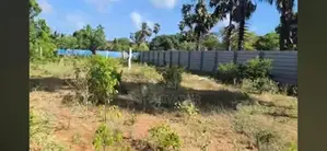 Land for Sale in Tellippalai