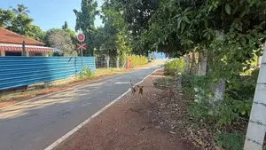 House for Sale Near Nadeswara College Kankesanturai