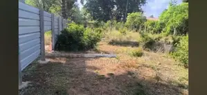 Land for Sale in Tellippalai