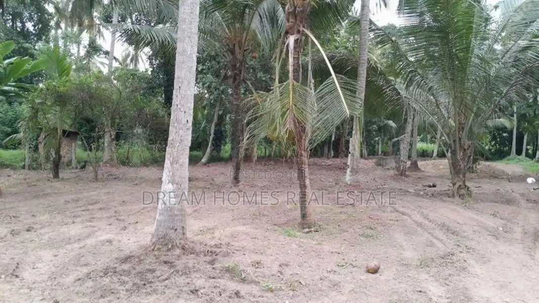 Coconut Cultivation Land for Sale – Near Badalgama Town