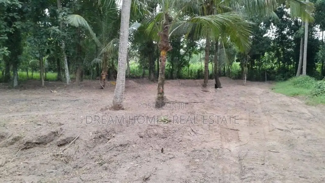 Coconut Cultivation Land for Sale – Near Badalgama Town