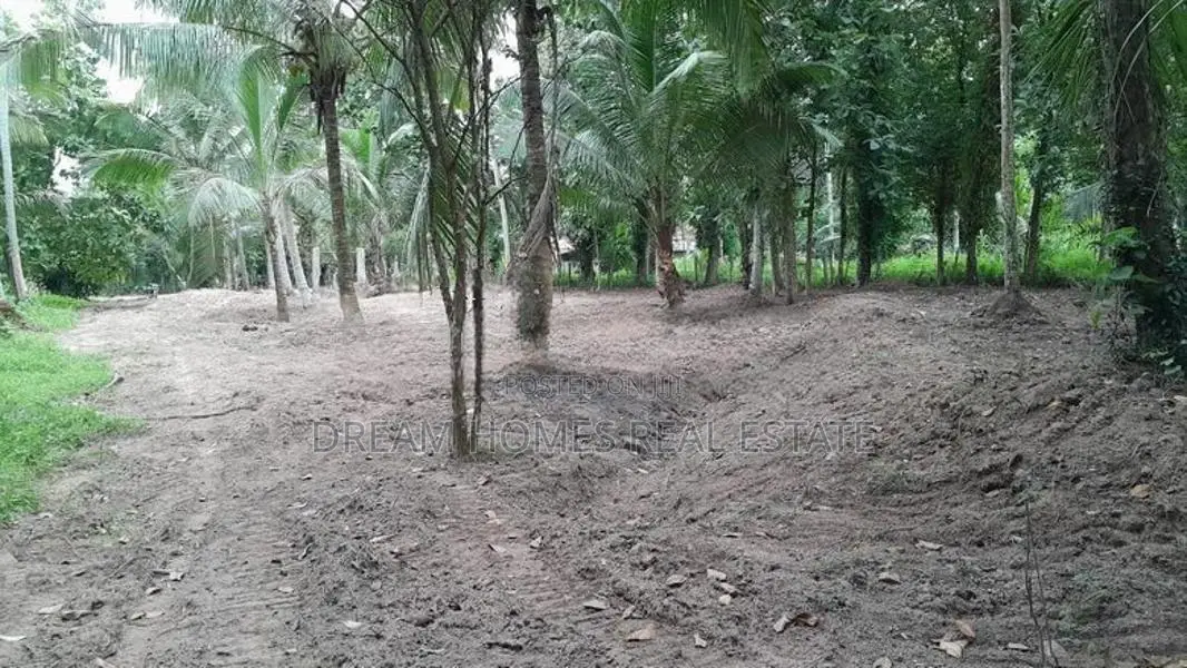 Coconut Cultivation Land for Sale – Near Badalgama Town