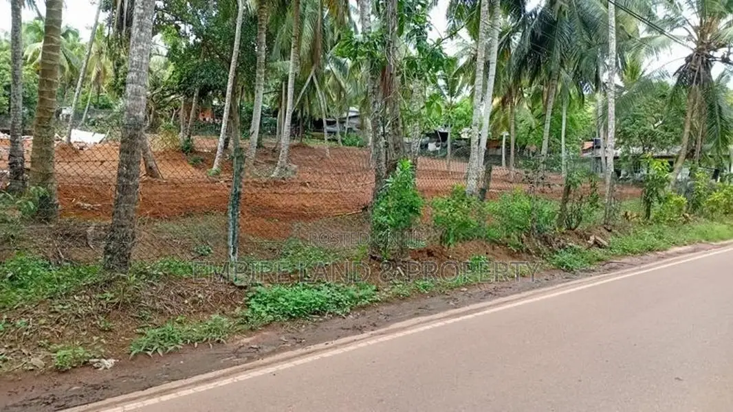 Negombo Main Road – Kandana Batagama