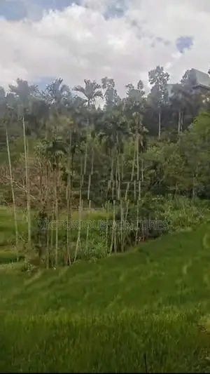 100p Scenic Land for Sale in Ella, just 2km from Ella town