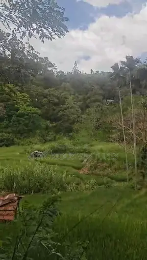 100p Scenic Land for Sale in Ella, just 2km from Ella town