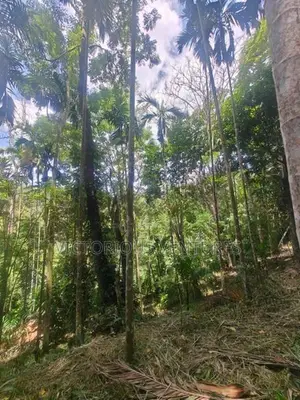 100p Scenic Land for Sale in Ella, just 2km from Ella town