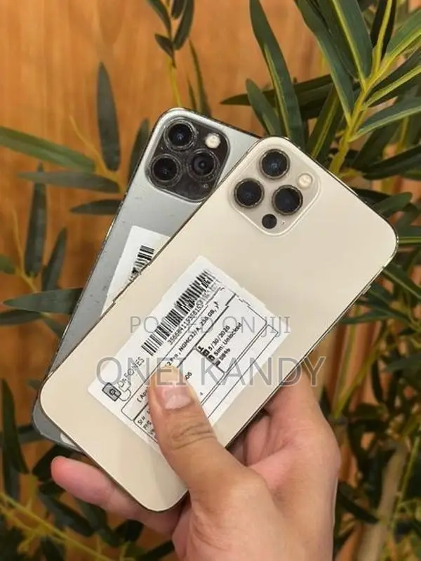 Apple iPhone 12 Pro 256GB (Used)