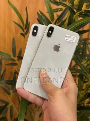 Apple iPhone X 256GB (Used)