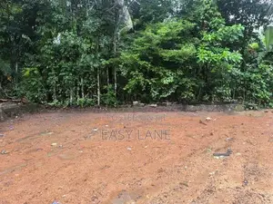 හොරණ - මුනගම දික්හේන්පුරින් වටිනා ඉඩමක් විකිණීමට / CA 13677