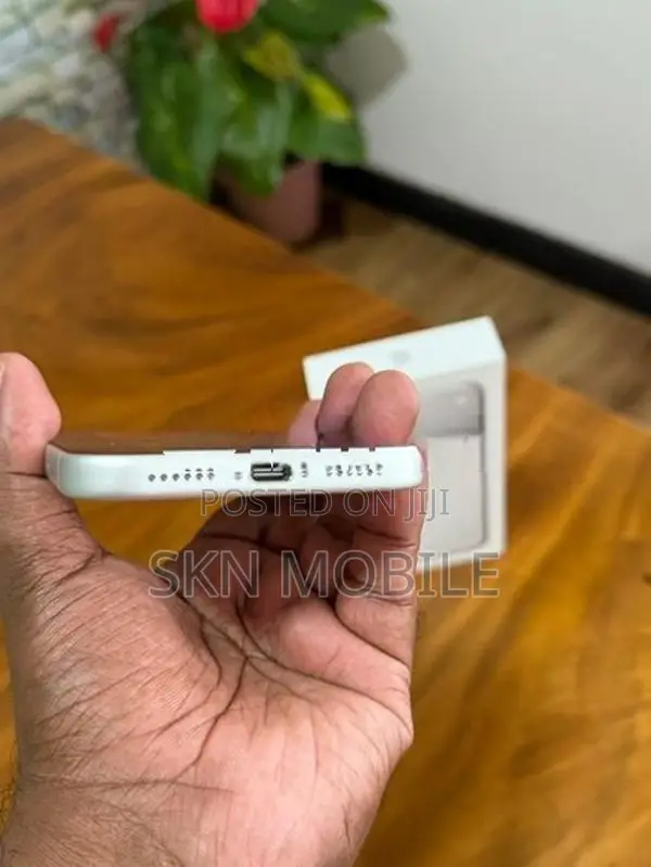 Apple iPhone 17 Pro Max 256GB (Used)