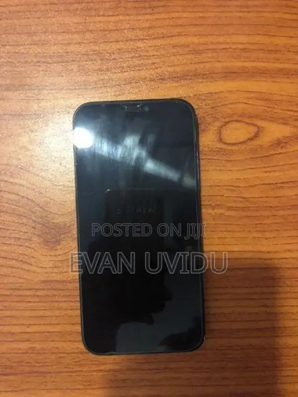 Apple iPhone 12 Pro (Used)
