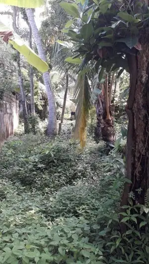 Prime Residential Land for Sale – Angulana, Moratuwa