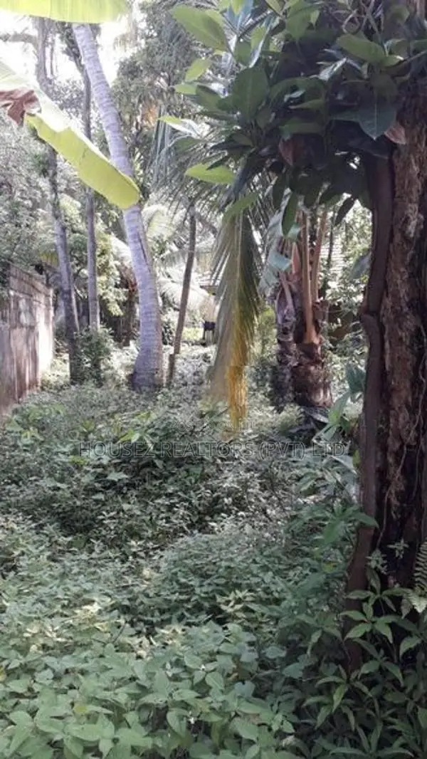Prime Residential Land for Sale – Angulana, Moratuwa
