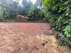 හොරණ - මුනගම දික්හේන්පුරින් වටිනා ඉඩමක් විකිණීමට / CA 13677