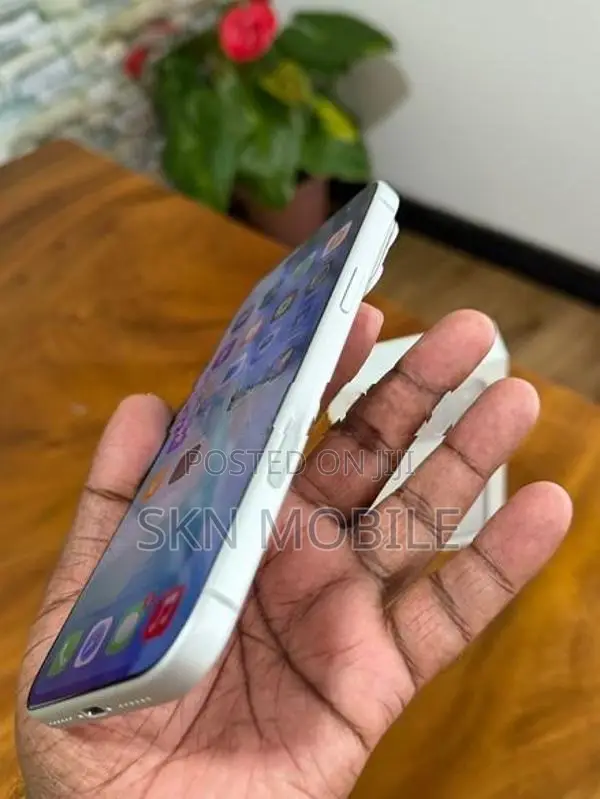 Apple iPhone 17 Pro Max 256GB (Used)