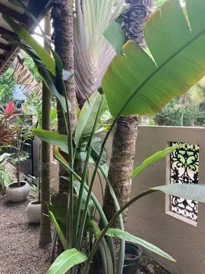 Luxury 8-Bedroom Villa for Long-Term Rent – Unawatuna