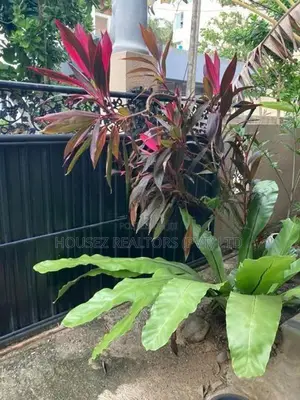 Luxury 8-Bedroom Villa for Long-Term Rent – Unawatuna