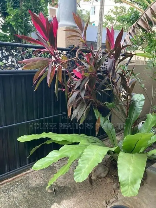 Luxury 8-Bedroom Villa for Long-Term Rent – Unawatuna