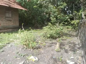Prime Land for Sale in Pitipana Negombo