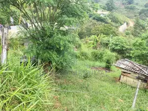 බණ්ඩාරවෙල - ඇටම්පිටිය ප්‍රධාන මාර්ගයට ආසන්න වටිනා ඉඩමක් විකිණීමට
