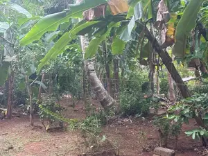 මාතර දික්වැල්ල ඉඩමක් විකිනිමට ඇත