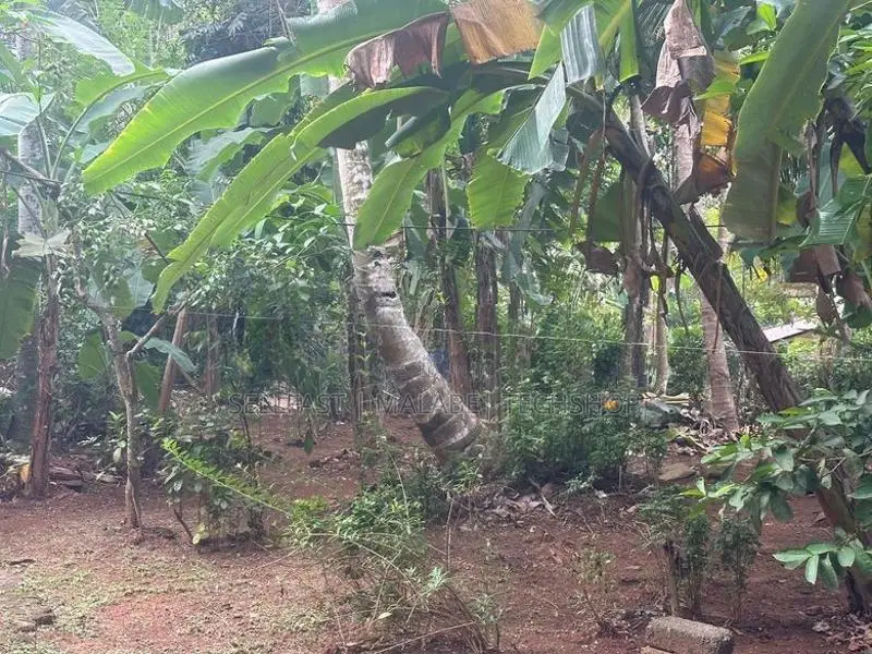 මාතර දික්වැල්ල ඉඩමක් විකිනිමට ඇත