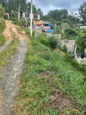 බණ්ඩාරවෙල - ඇටම්පිටිය ප්‍රධාන මාර්ගයට ආසන්න වටිනා ඉඩමක් විකිණීමට