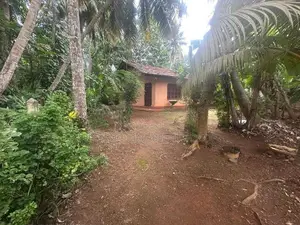 මාතර දික්වැල්ල ඉඩමක් විකිනිමට ඇත