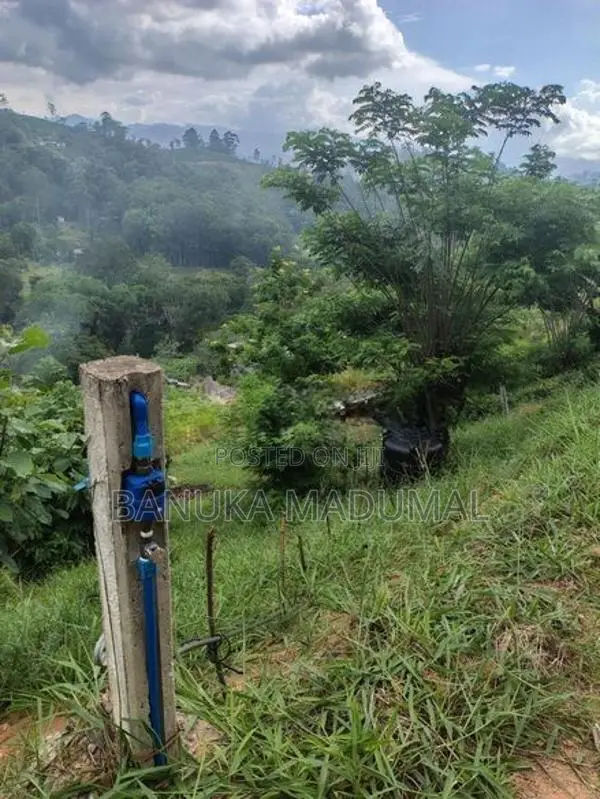 බණ්ඩාරවෙල - ඇටම්පිටිය ප්‍රධාන මාර්ගයට ආසන්න වටිනා ඉඩමක් විකිණීමට