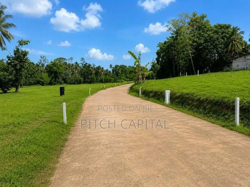 පිළියන්දල කහ තුඩුව අගනා බිම් කොටස්