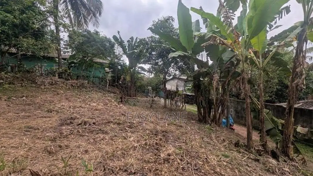 අතුරුගිරියෙන් වටිනා බිම් කොටස් / CA 14123