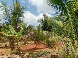 Anuradhapura Land for Sale