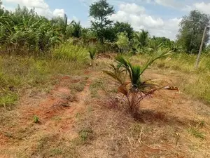 Anuradhapura Land for Sale