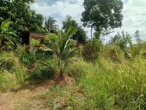 Anuradhapura Land for Sale