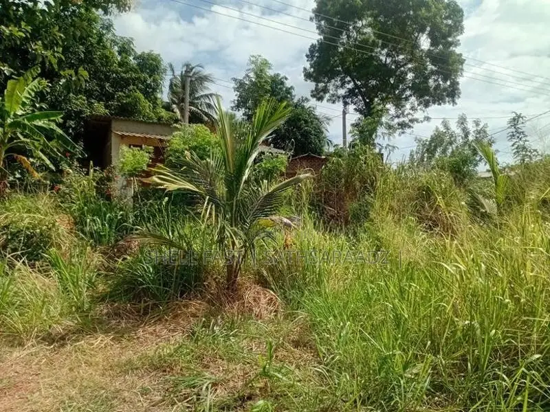 Anuradhapura Land for Sale