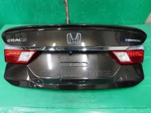 Honda Grace Dicky Door