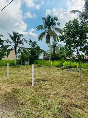 දිවුලපිටියෙන් සුදුසුම බිම් කොටස - AJ 13707