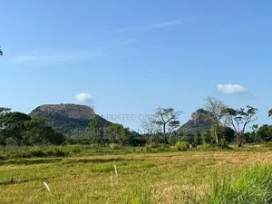 සංචාරක හොටෙල් සදහා ඉතා සුදුසු ඉඩමක් සිගිරියන්.ව්කිණිමට ඇත