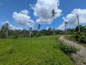දිවුලපිටිය වෙලගානෙන් බිම් කොටස් දෙකක් - AJ 13850