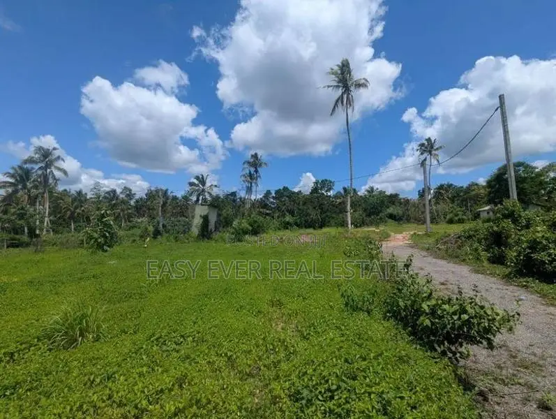 දිවුලපිටිය වෙලගානෙන් බිම් කොටස් දෙකක් - AJ 13850