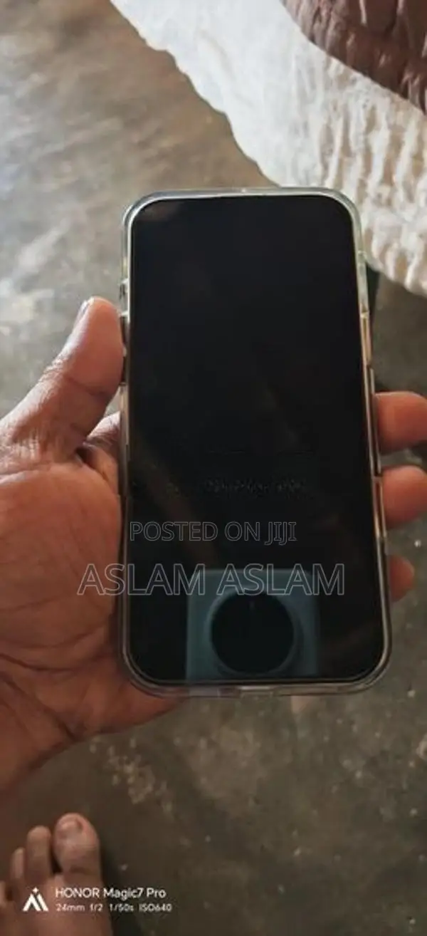 Apple iPhone 16 Pro Max (Used)