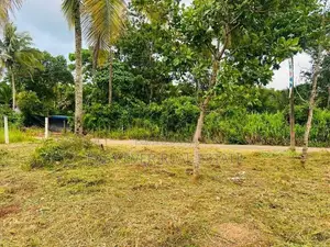 දිවුලපිටියෙන් සුදුසුම බිම් කොටස - AJ 13707